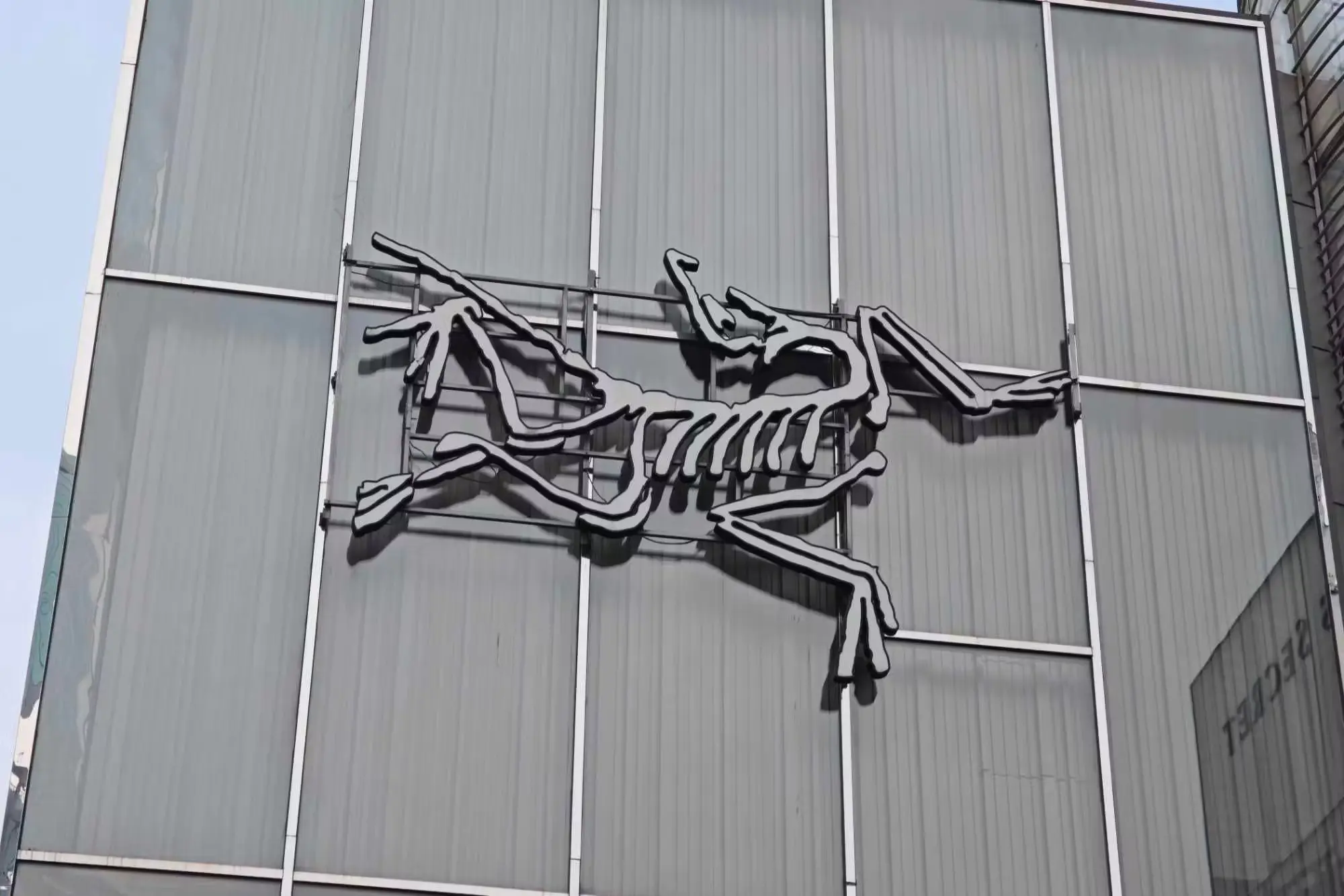 The Arc'teryx Logo Story: Why a Prehistoric Bird Represents Technical Gear