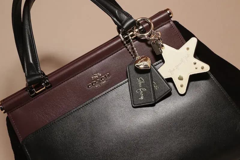 Coach authentication