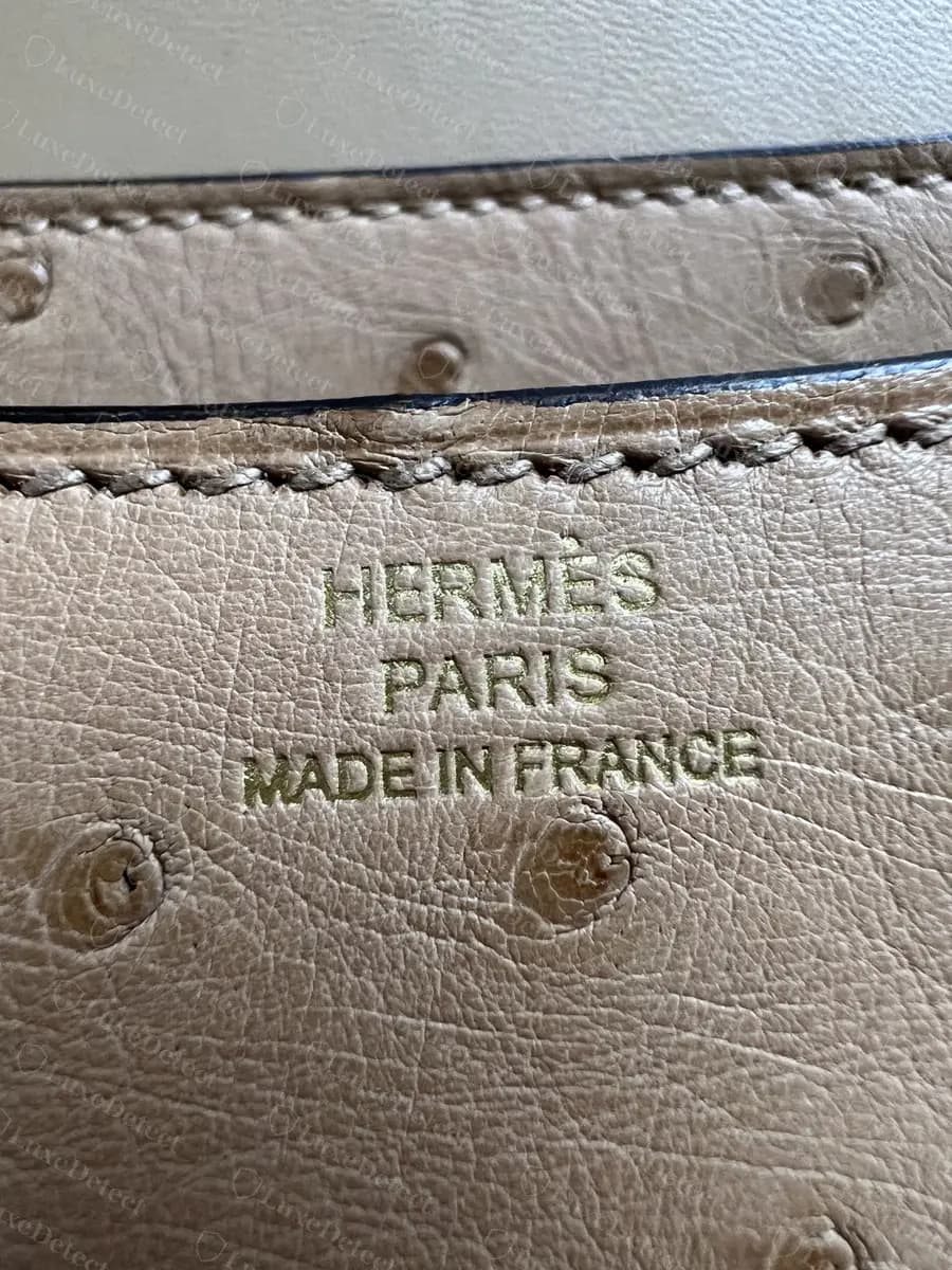 Gold-foil stamp on ostrich, no species symbol, quill follicles visible around the lettering