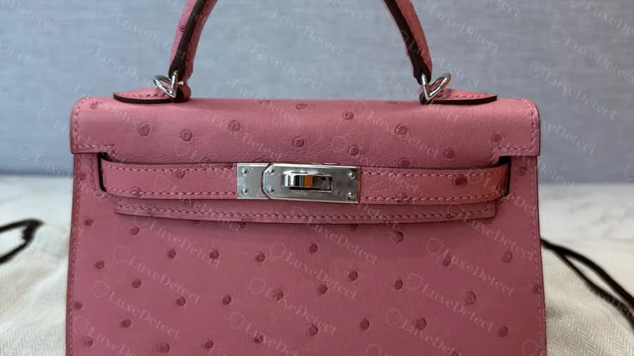 How to Authenticate an Exotic-Skin Hermès Birkin or Kelly: Real vs Fake