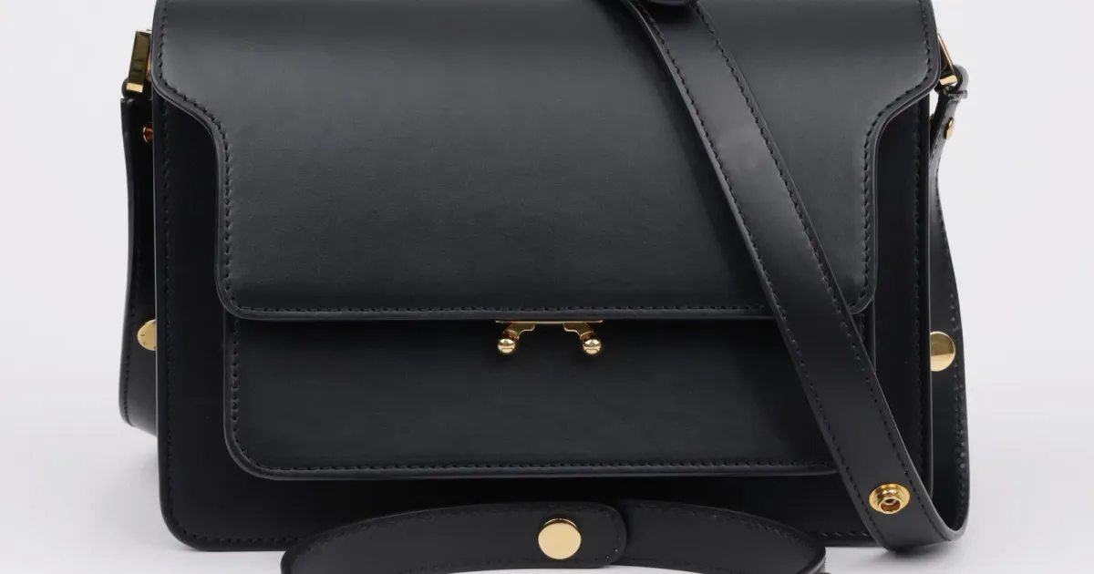 How to Authenticate a Marni Trunk Bag: Real vs Fake