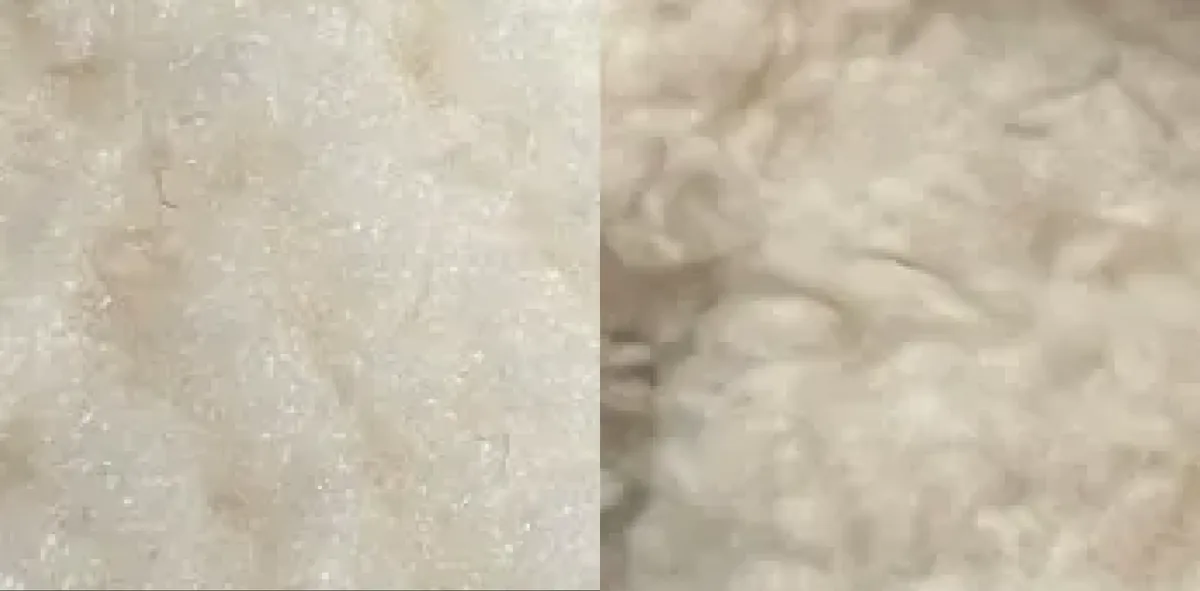Fur texture, genuine (left) and counterfeit (right). The genuine pile is fine and even with a slight sheen; the fake clumps into coarse, separate tufts.
